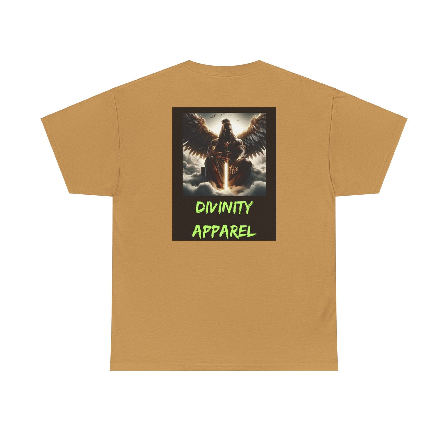 Divinity Apparel Cotton Tee