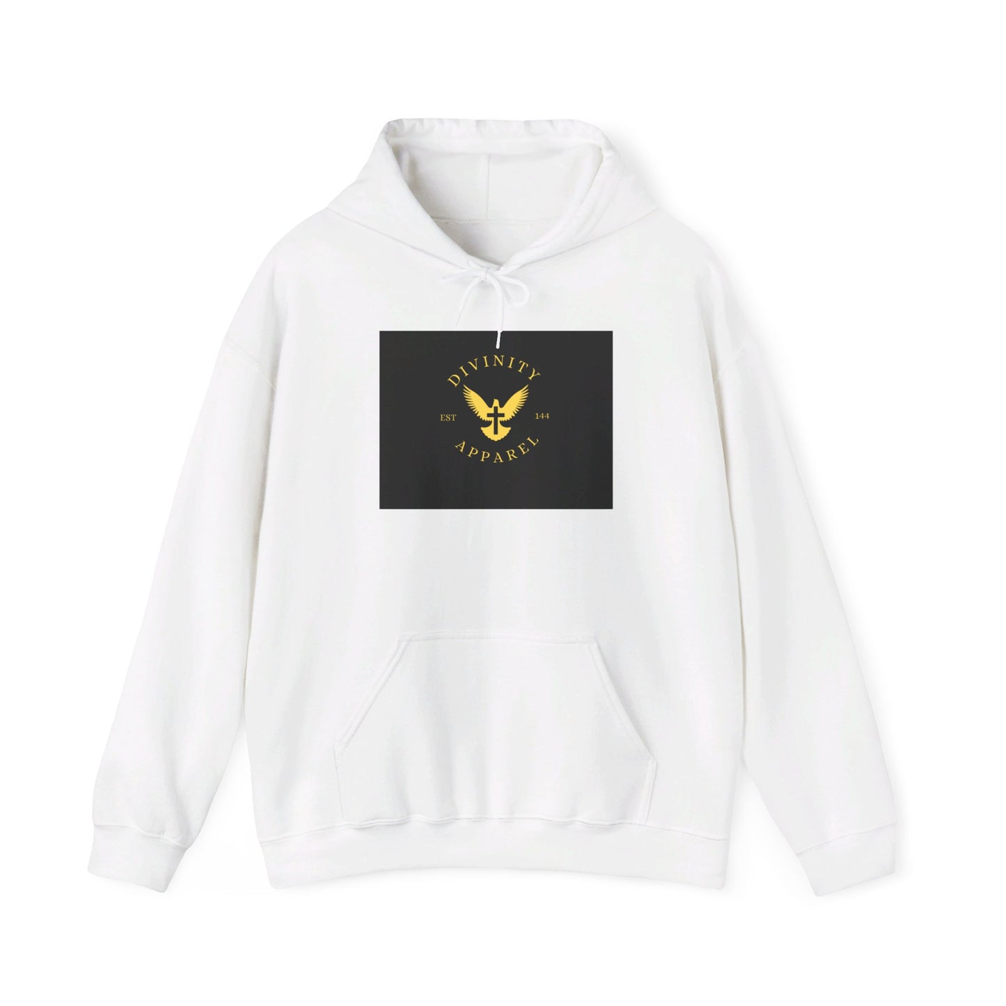 Divinity Apparel Hooded Sweatshirt