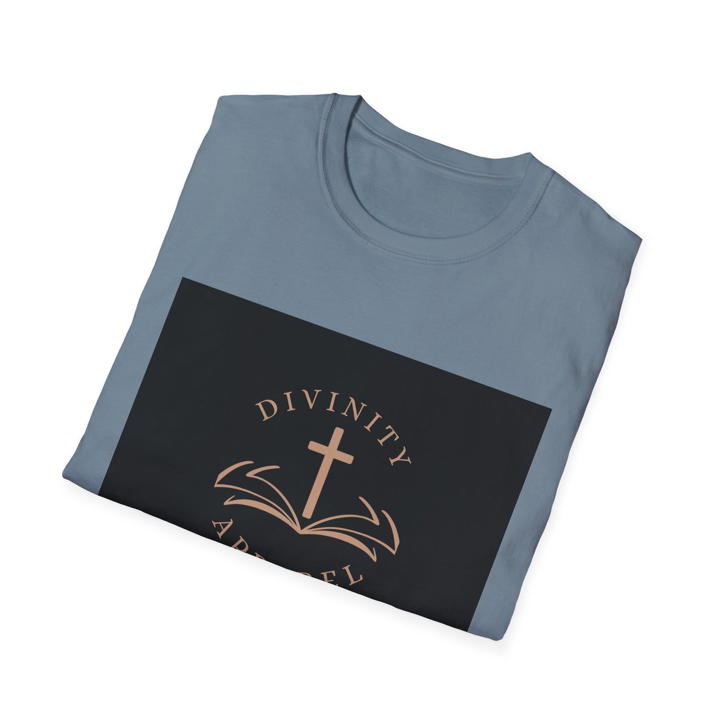 Divinity Apparel womans T-Shirt