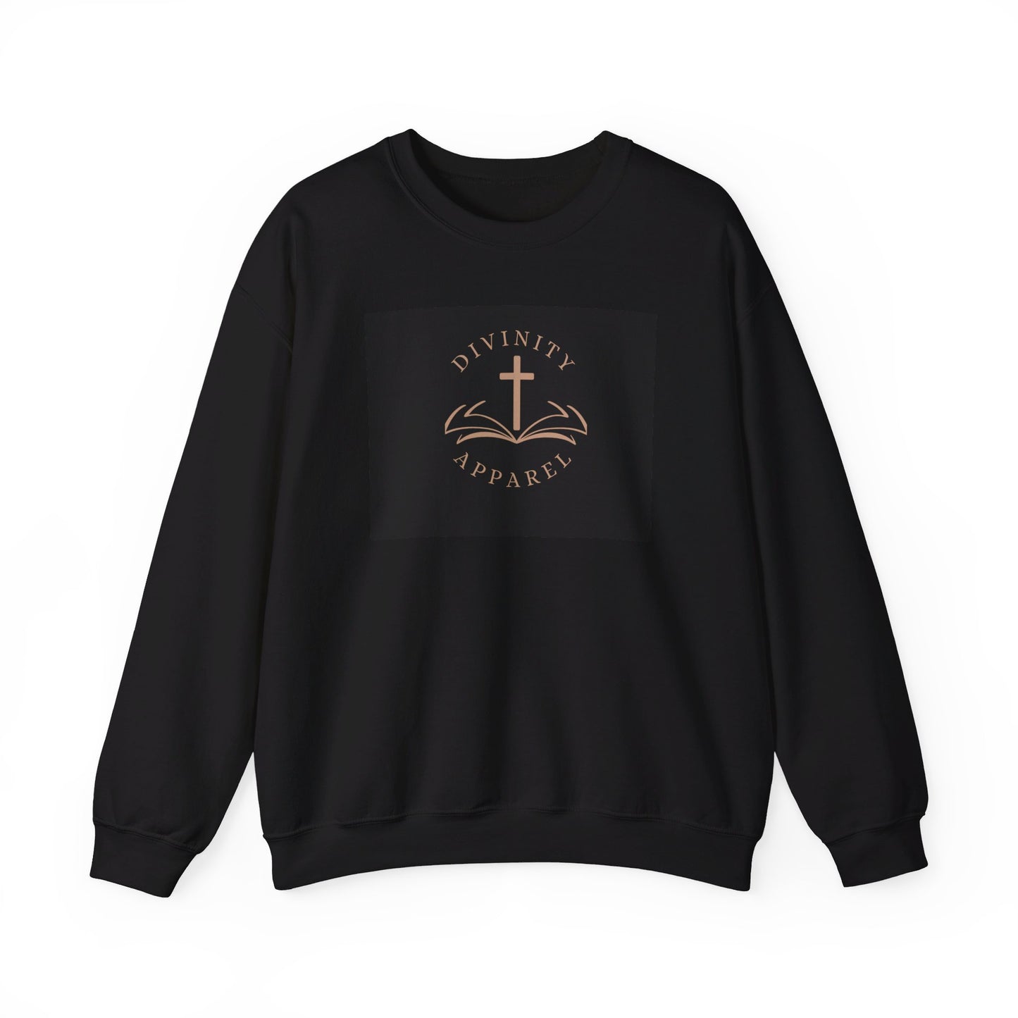 Divinity Apparel Sweatshirt