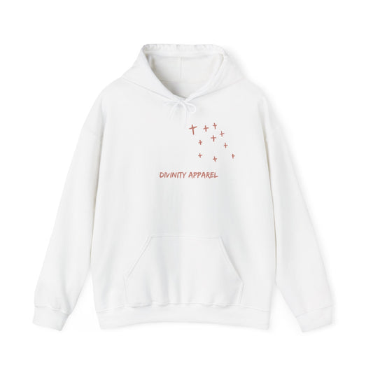 Divinity Apparel Hooded Sweatshirt