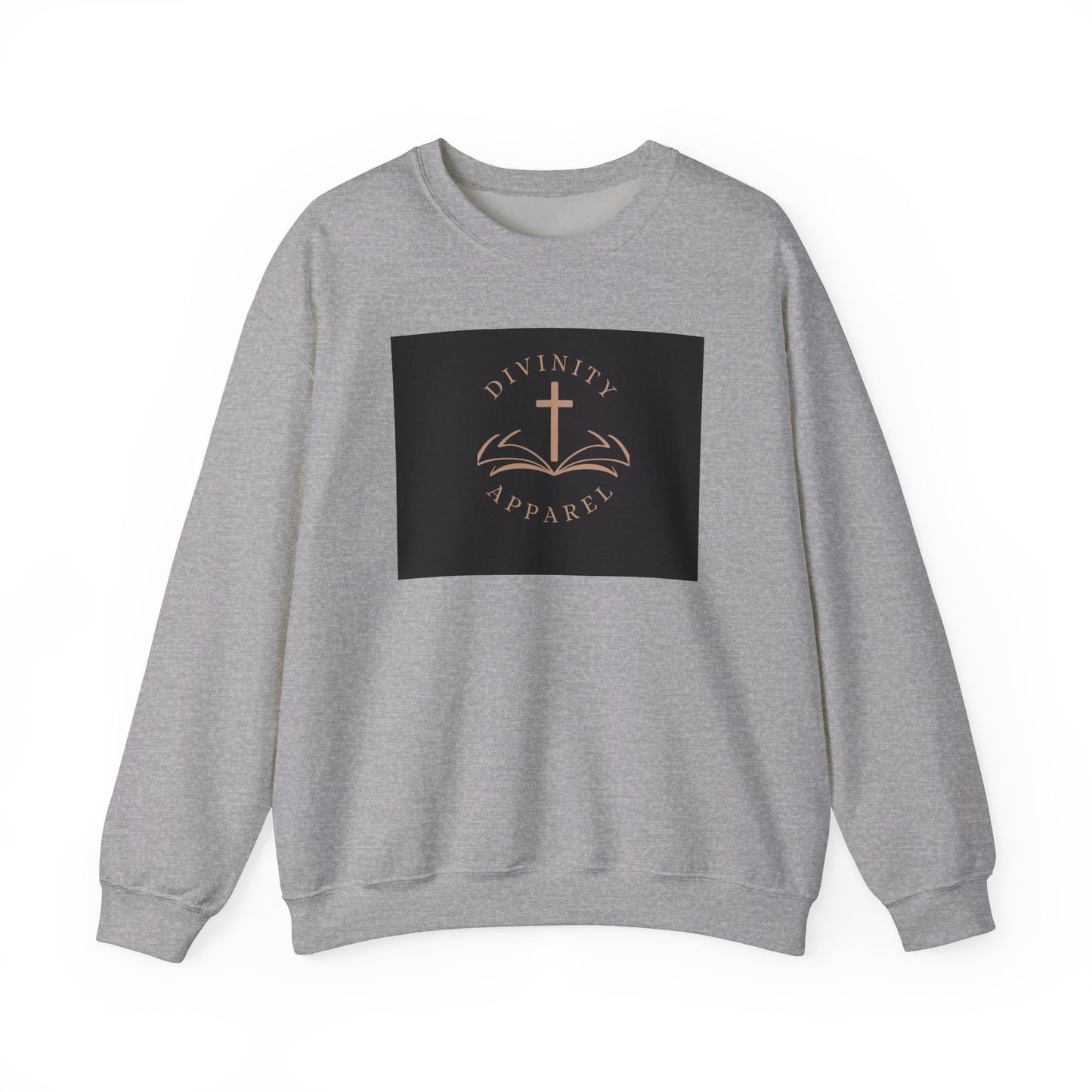 Divinity Apparel Sweatshirt