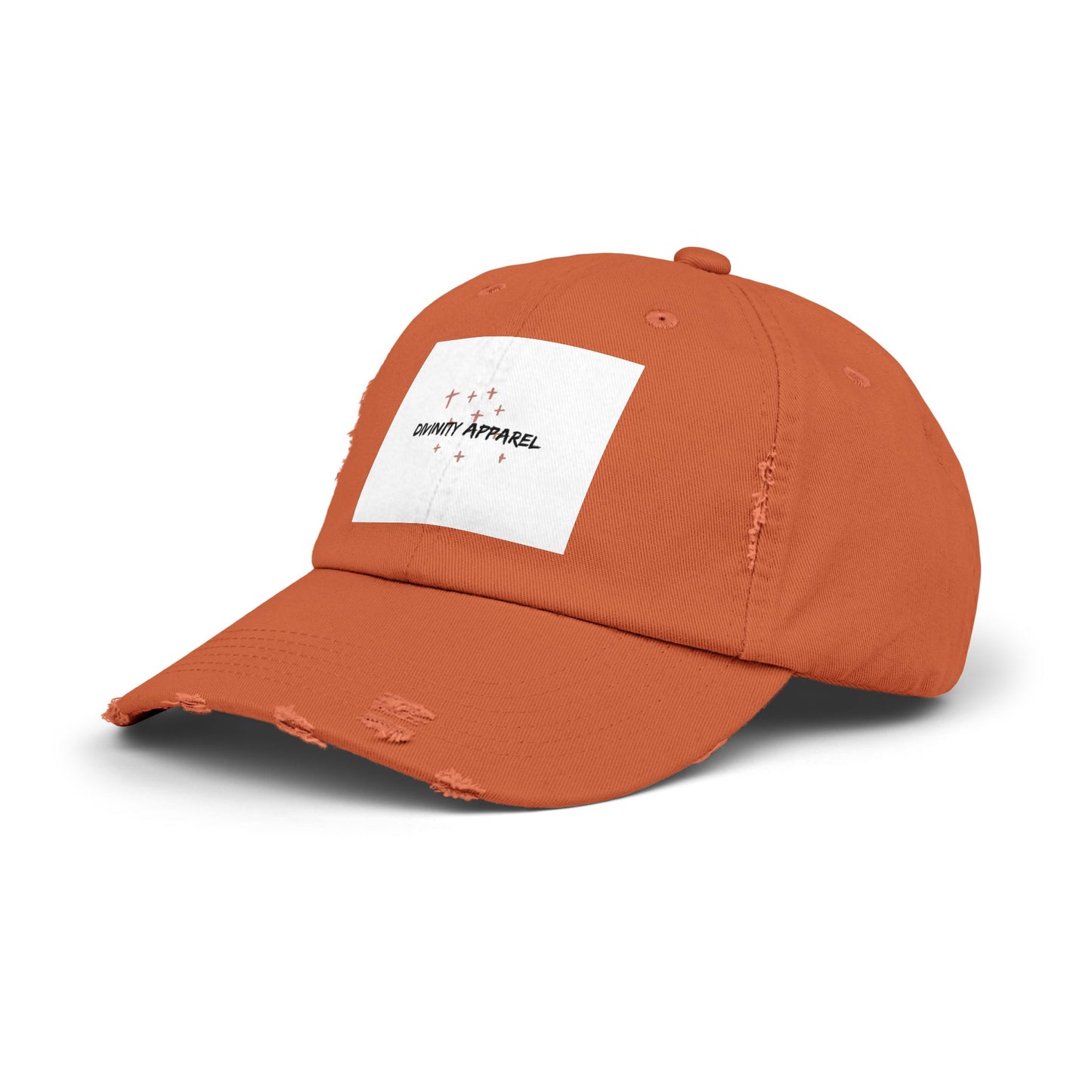 Divinity Apparel Cap