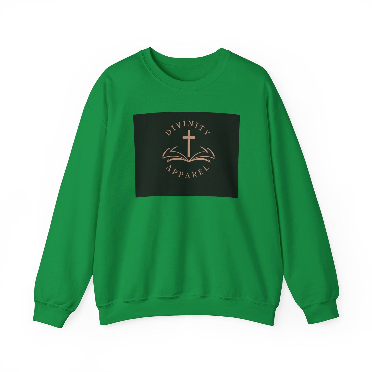 Divinity Apparel Sweatshirt