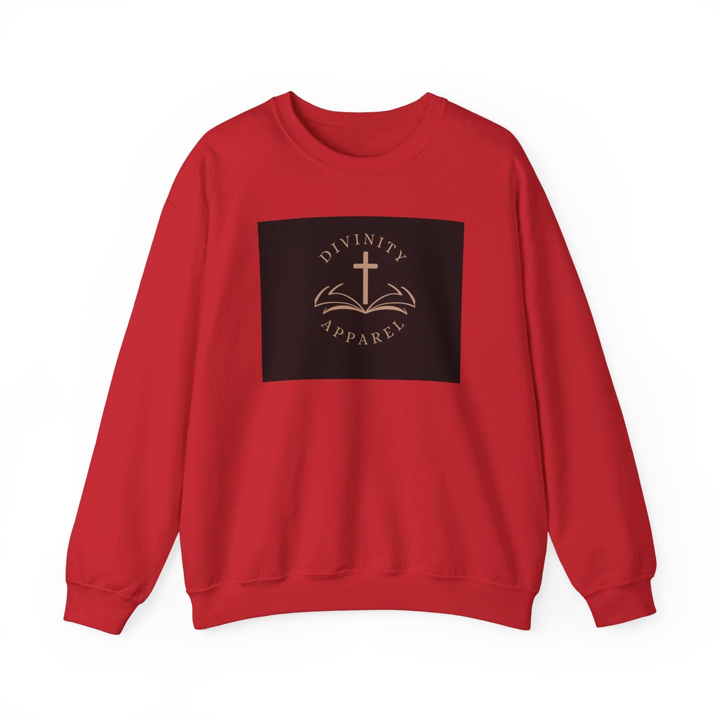 Divinity Apparel Sweatshirt