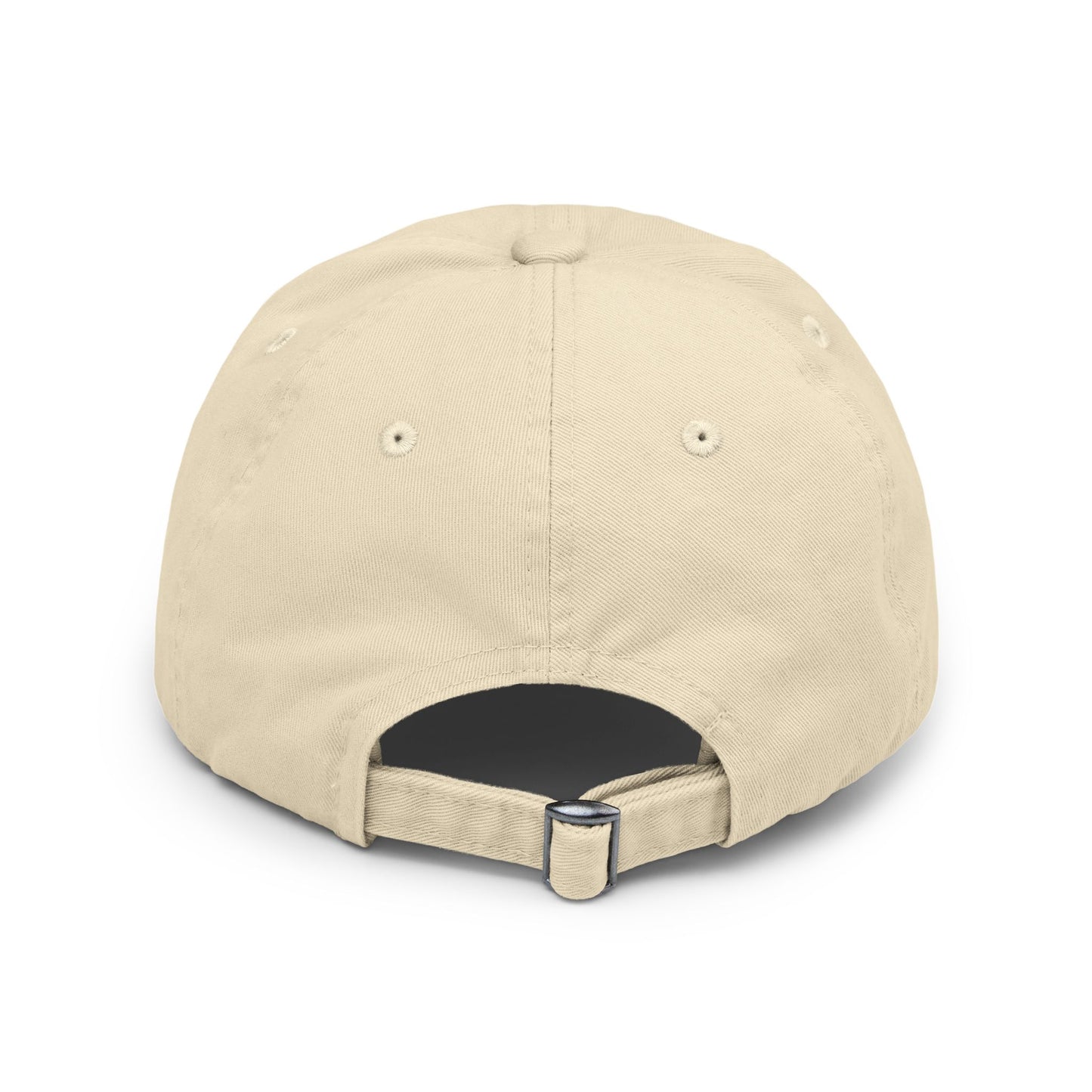 Divinity Apparel Distressed Cap