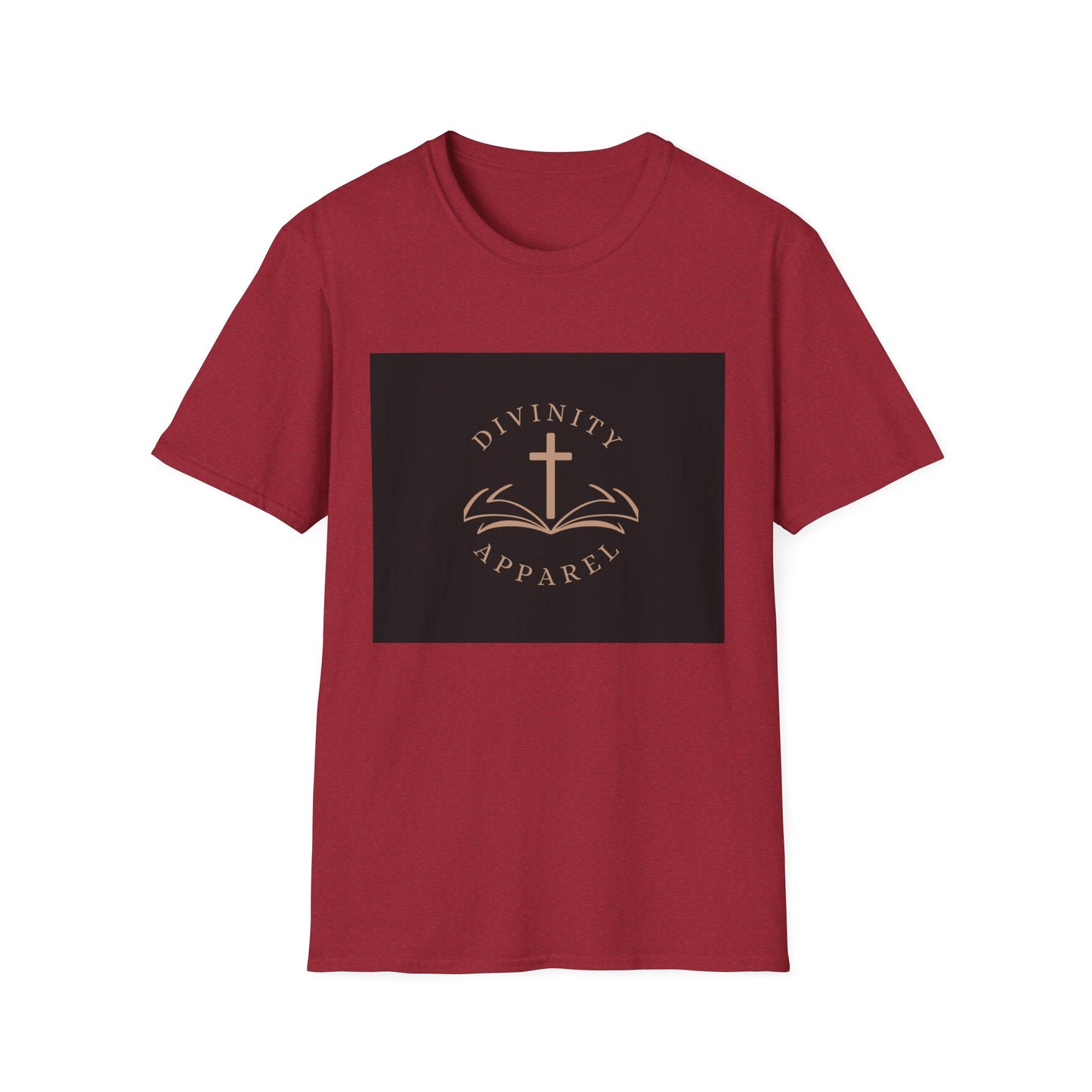 Divinity Apparel womans T-Shirt