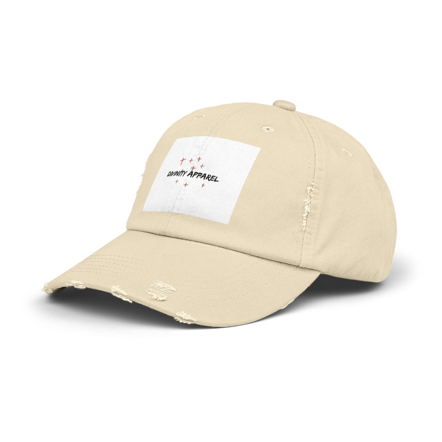 Divinity Apparel Cap