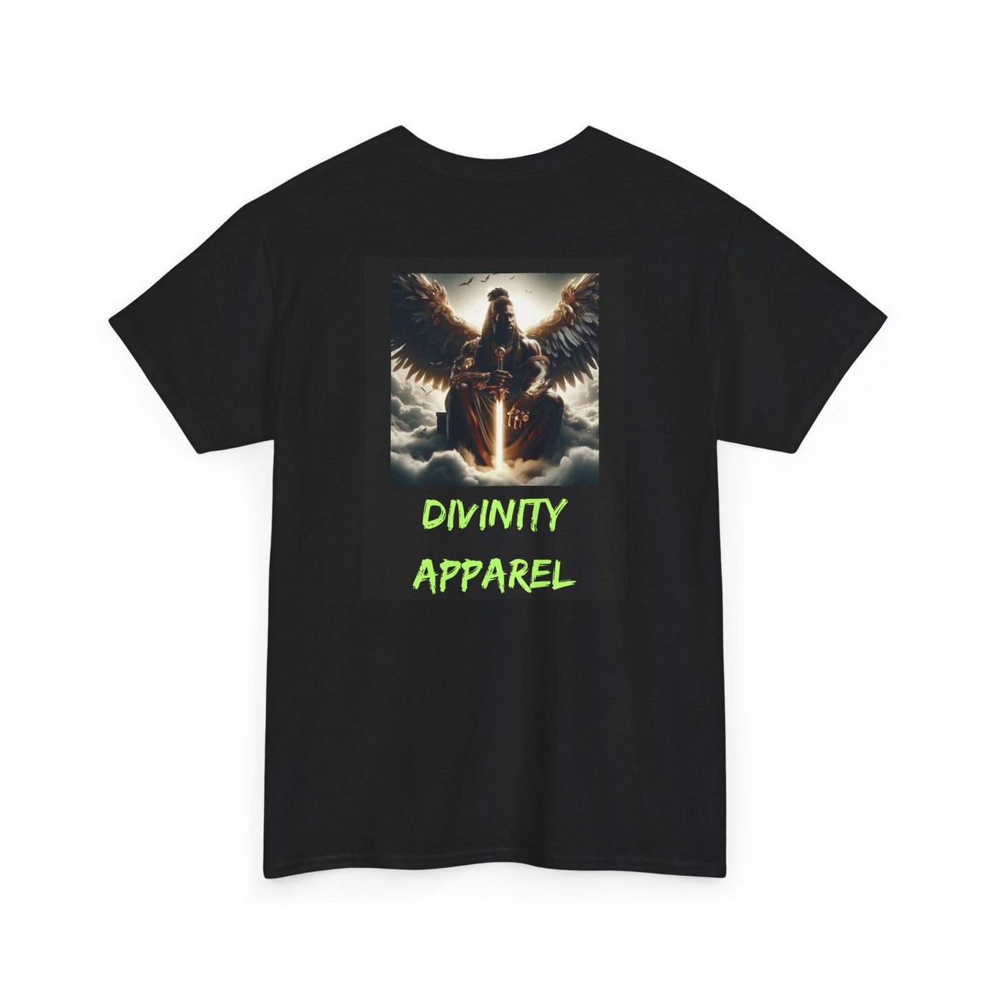 Divinity Apparel Cotton Tee