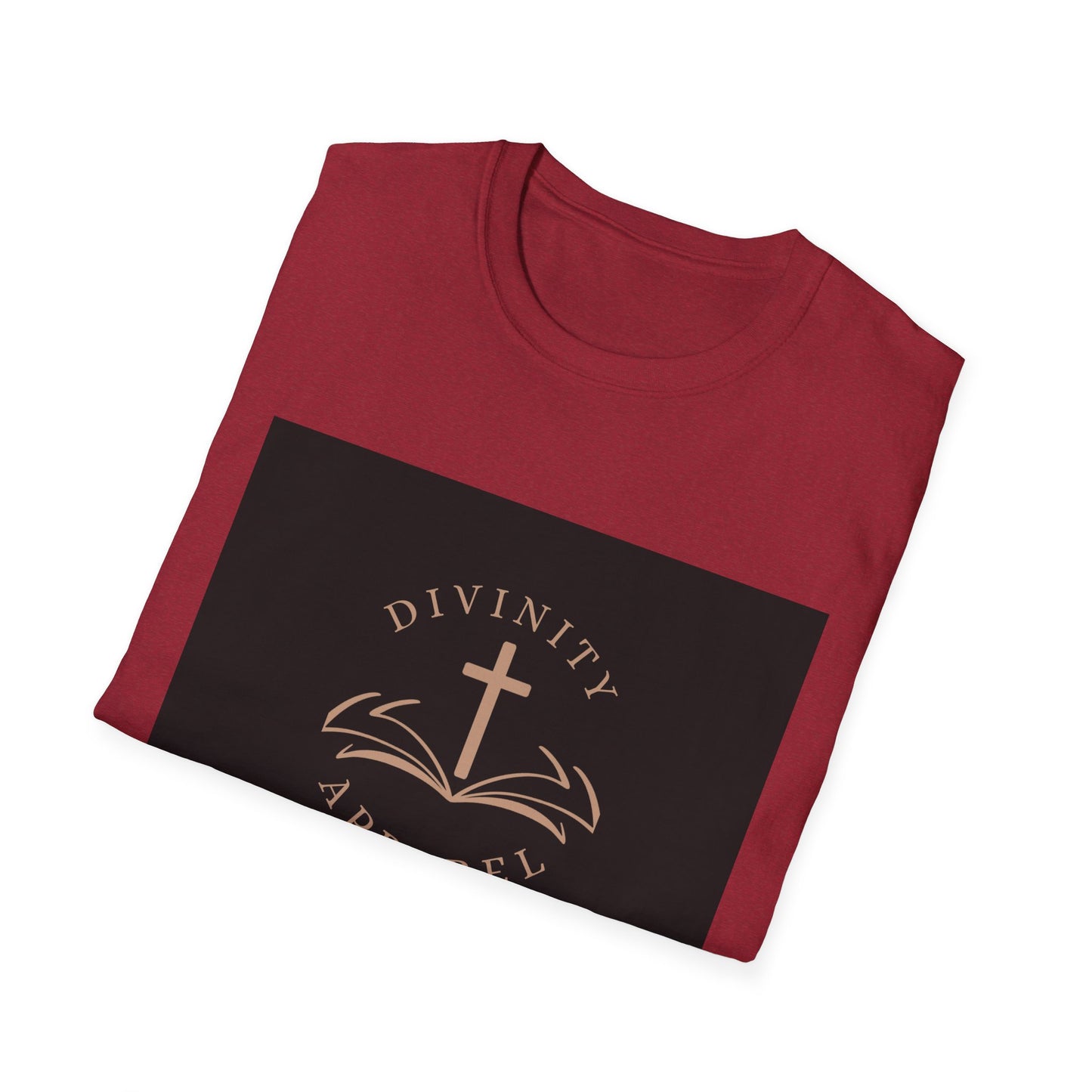 Divinity Apparel womans T-Shirt