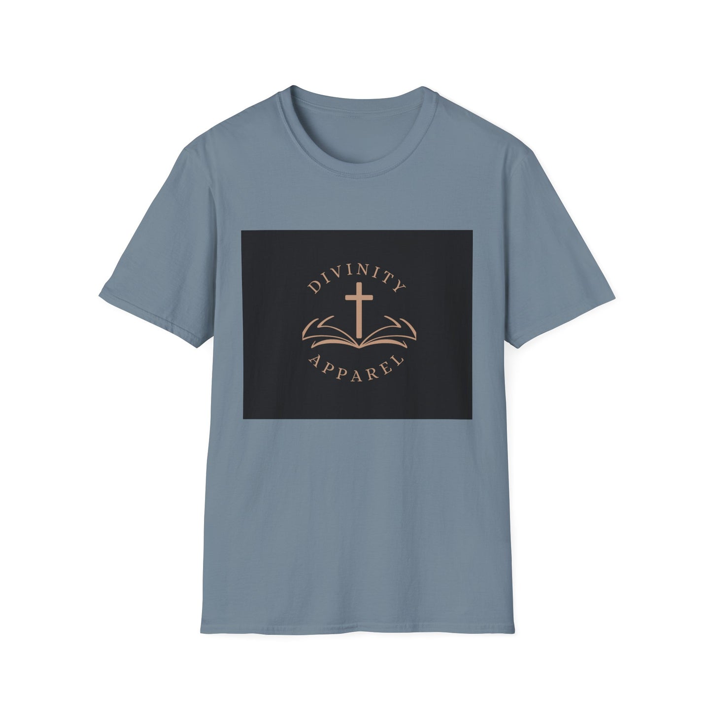 Divinity Apparel womans T-Shirt