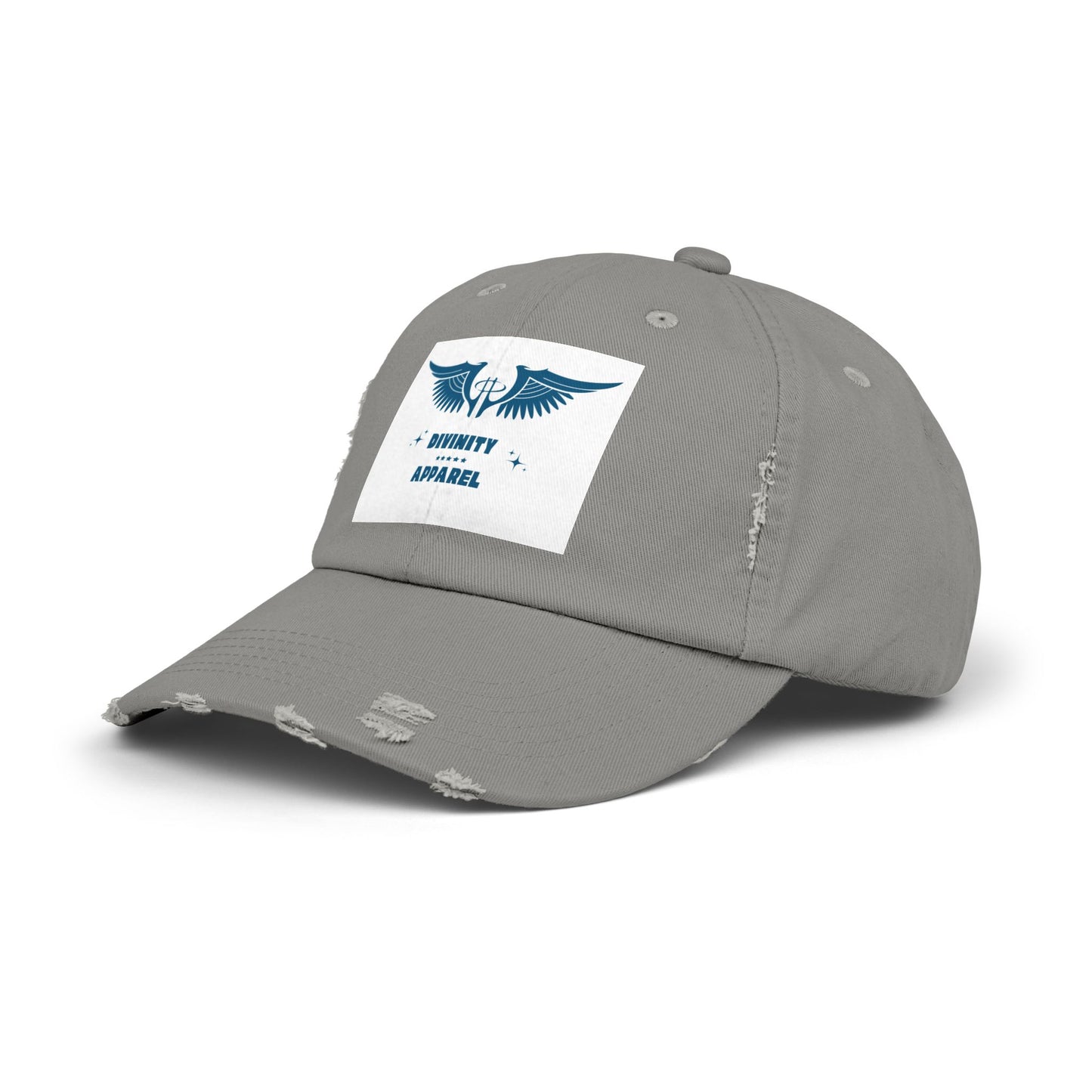 Divinity Apparel Distressed Cap