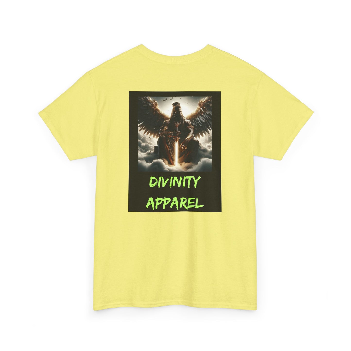 Divinity Apparel Cotton Tee