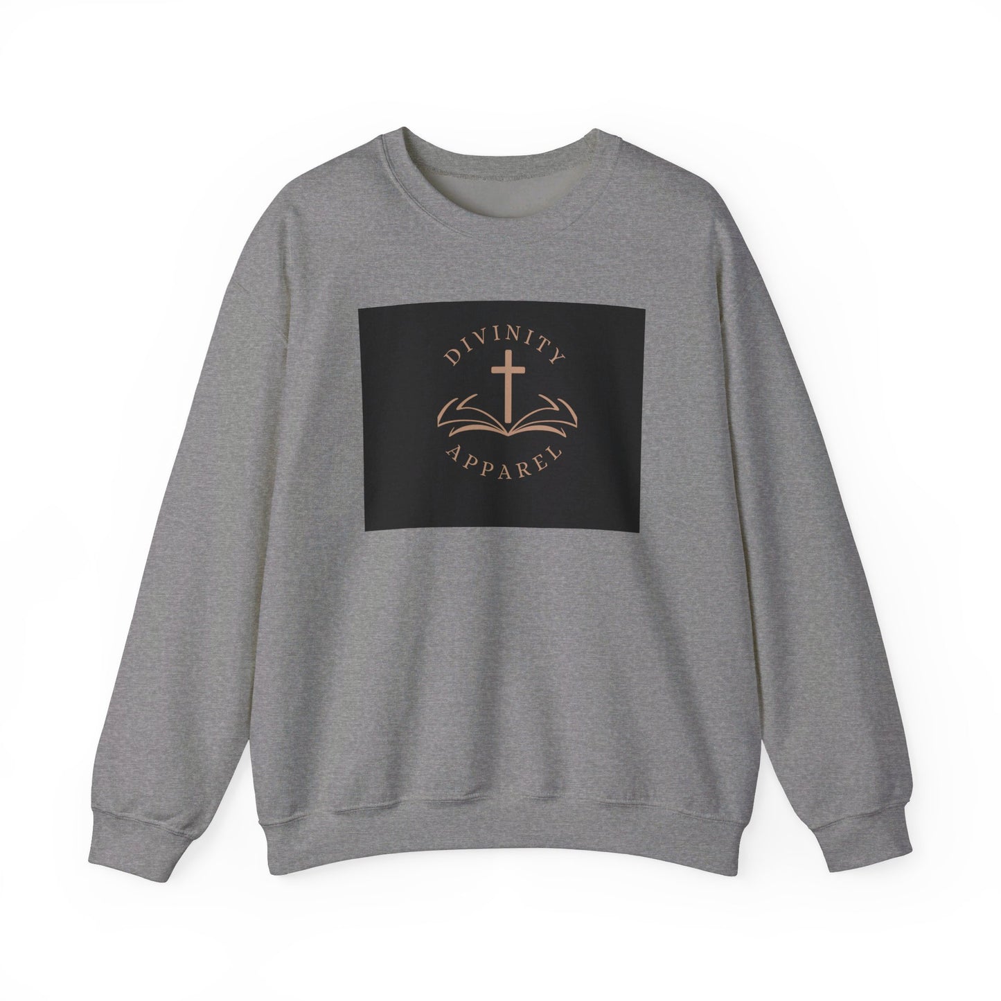 Divinity Apparel Sweatshirt