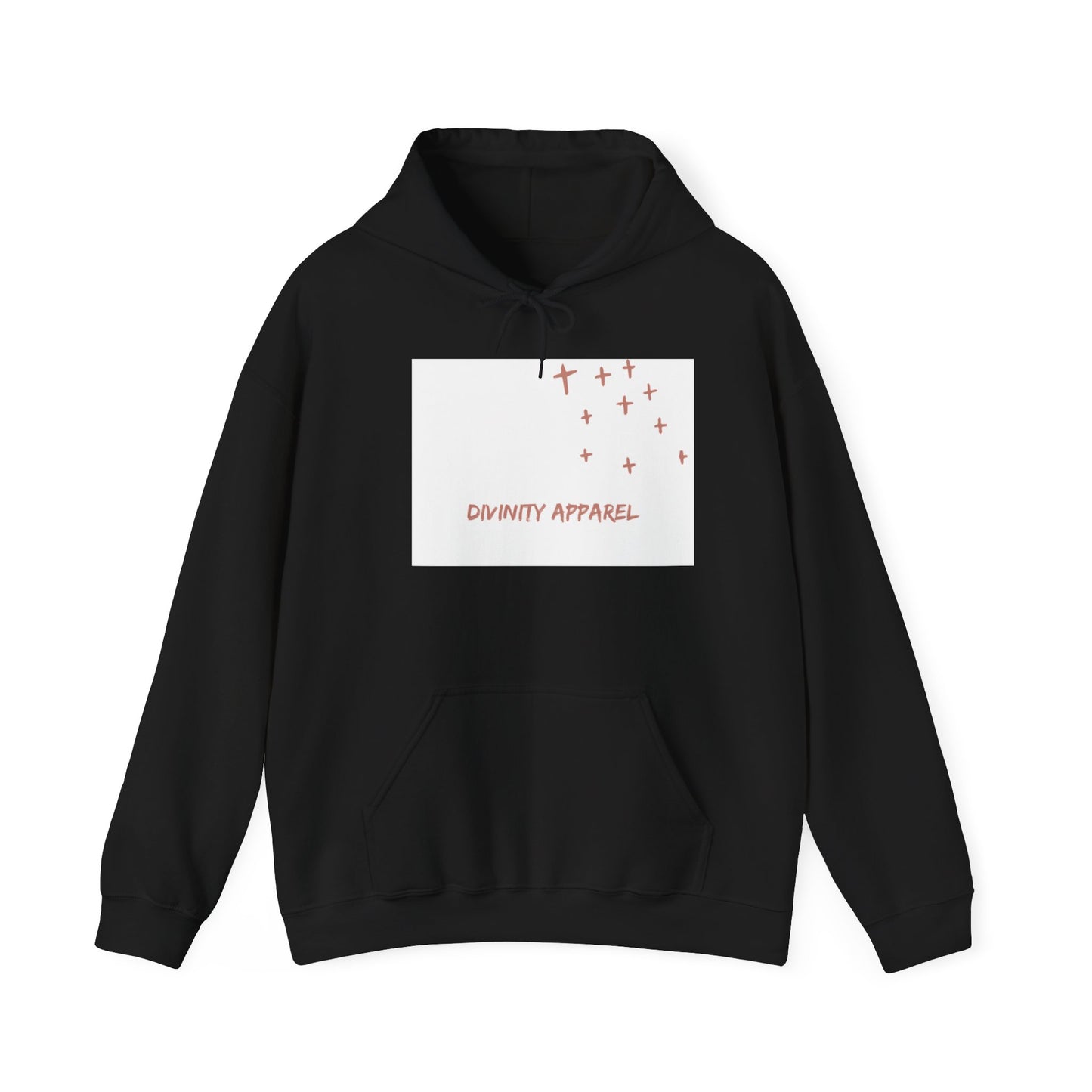 Divinity Apparel Hooded Sweatshirt