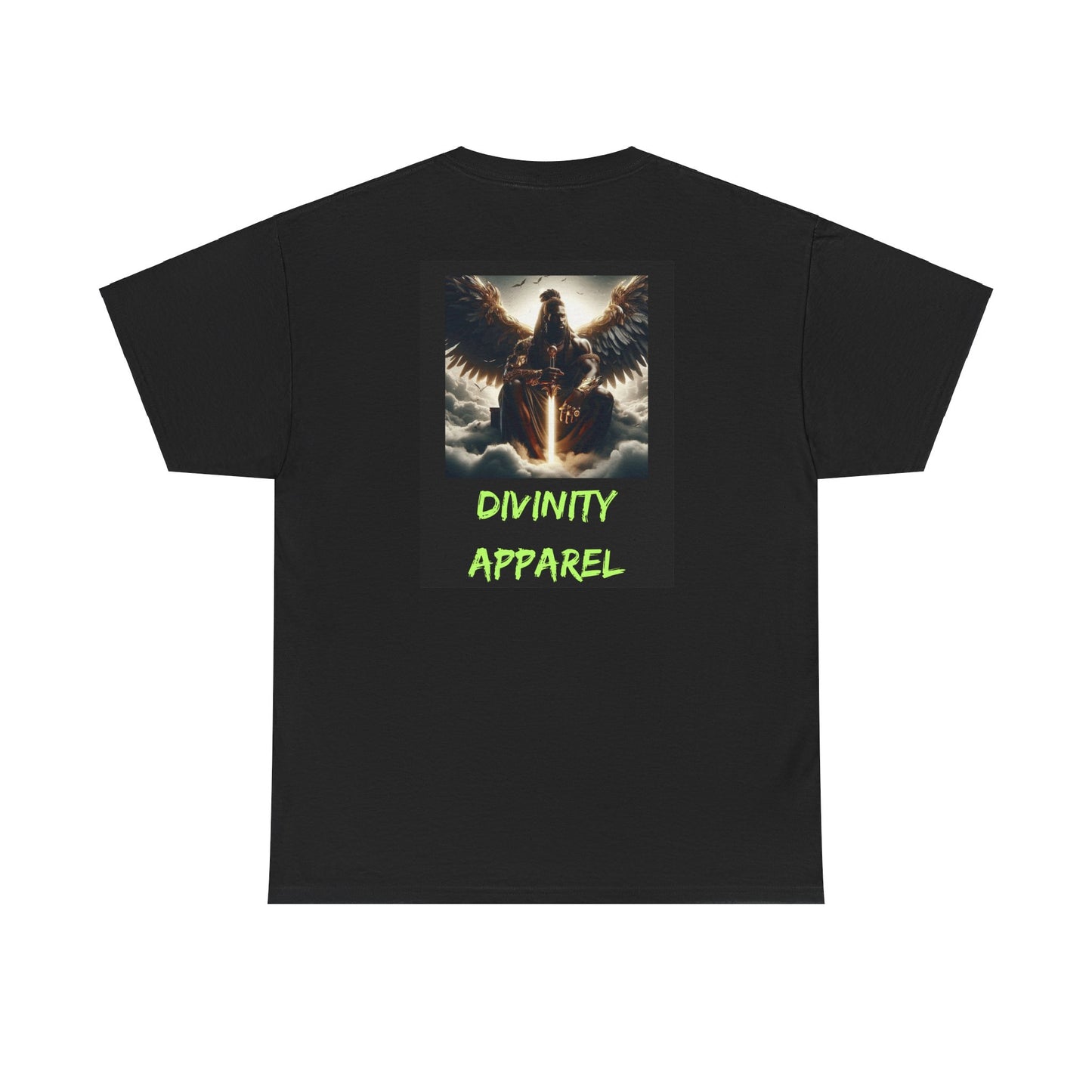 Divinity Apparel Cotton Tee