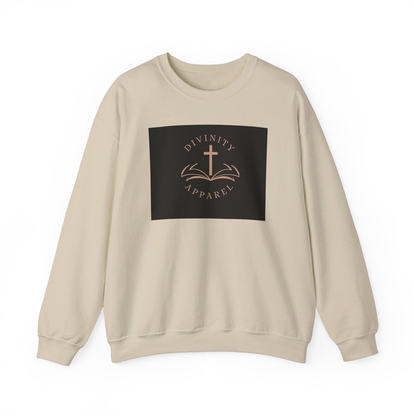 Divinity Apparel Sweatshirt