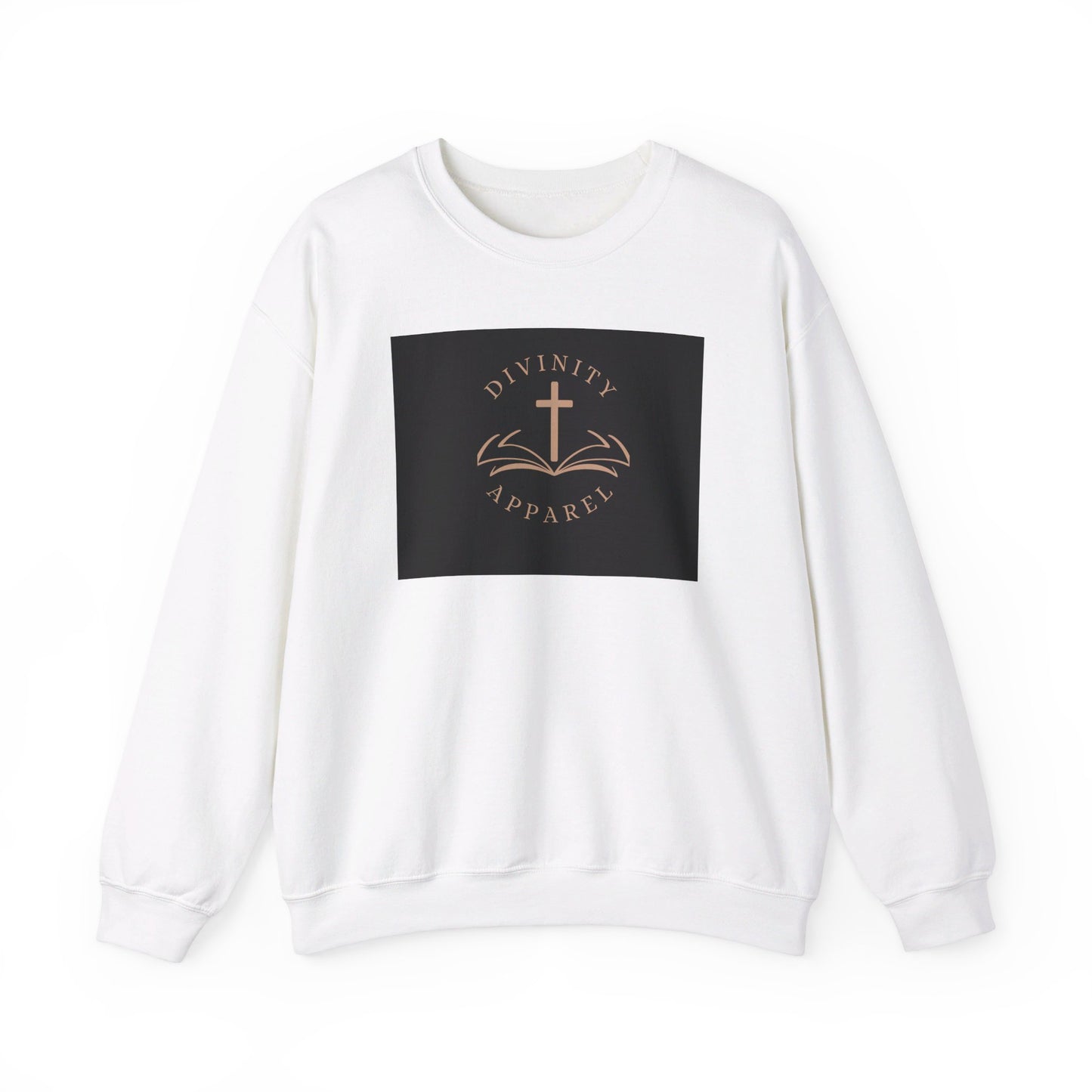 Divinity Apparel Sweatshirt