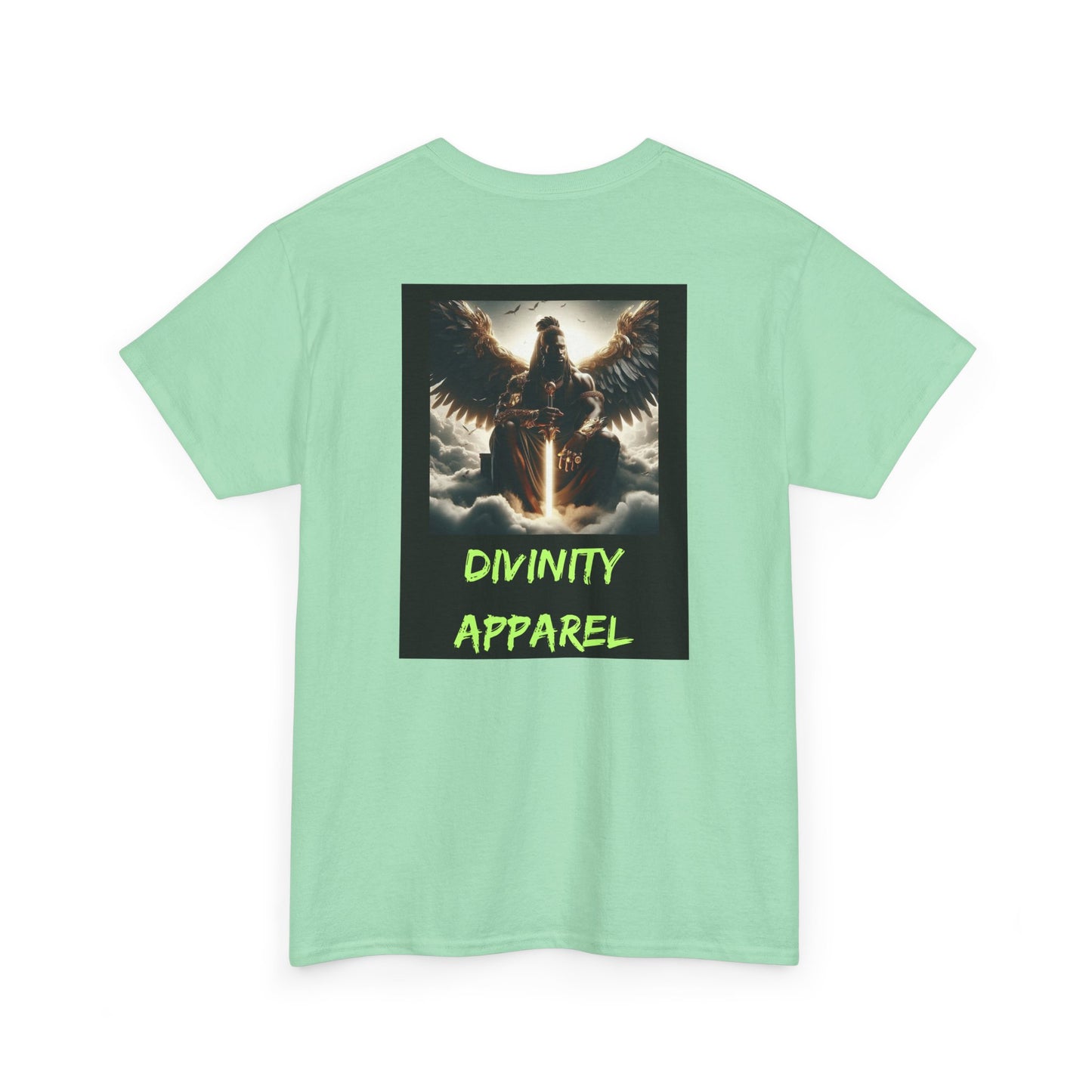 Divinity Apparel Cotton Tee