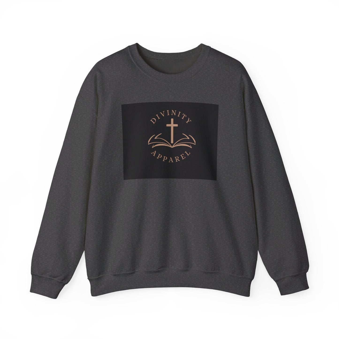 Divinity Apparel Sweatshirt