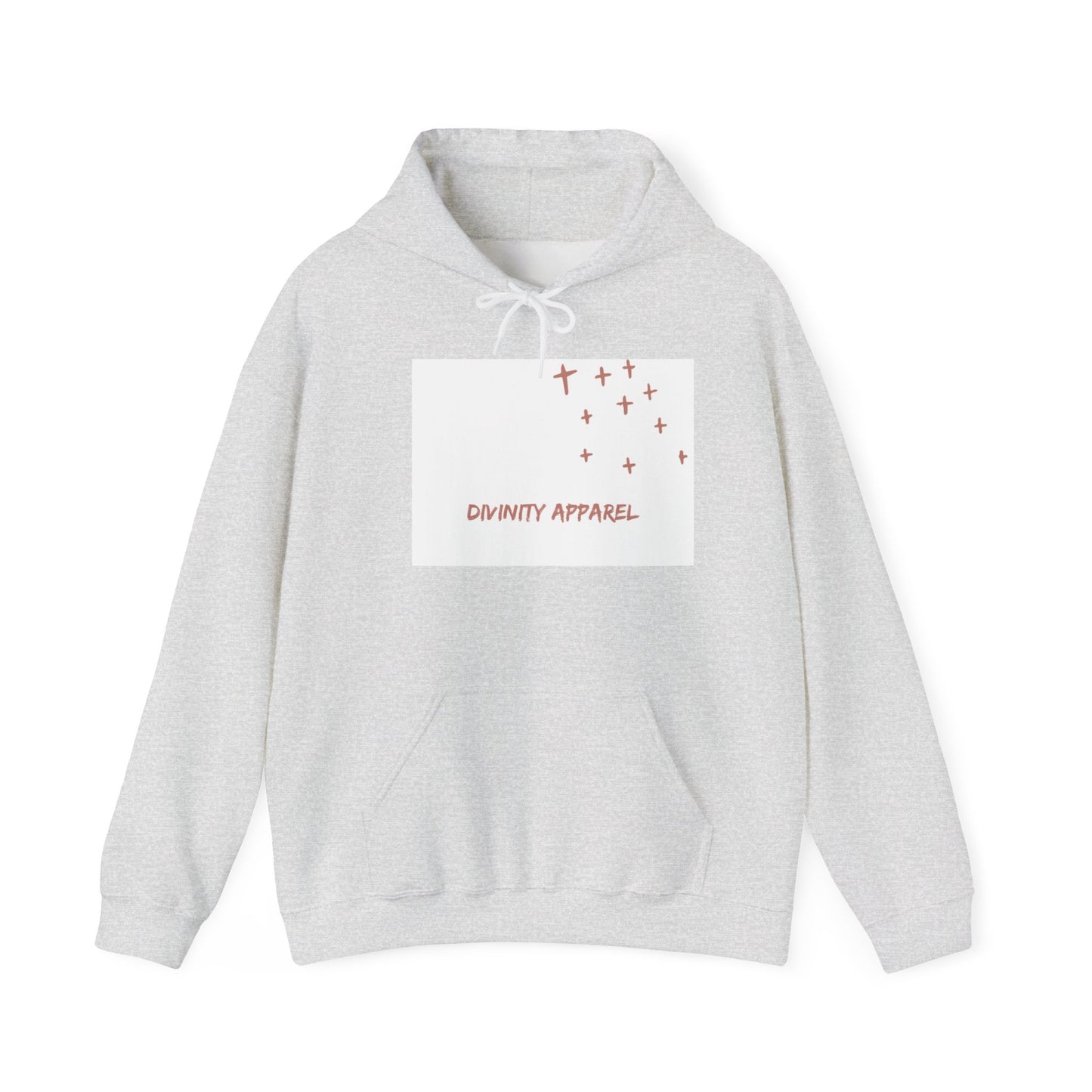 Divinity Apparel Hooded Sweatshirt