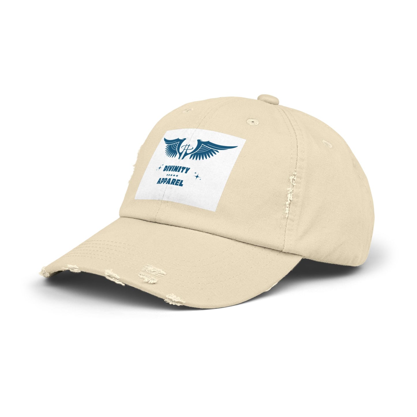 Divinity Apparel Distressed Cap