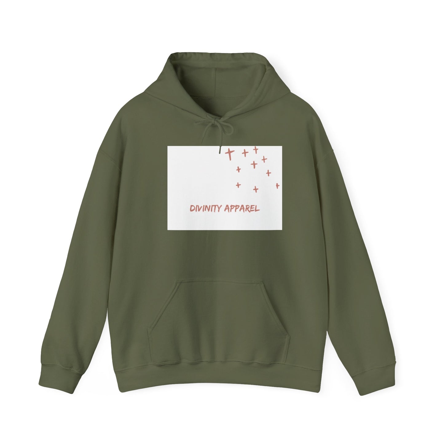 Divinity Apparel Hooded Sweatshirt