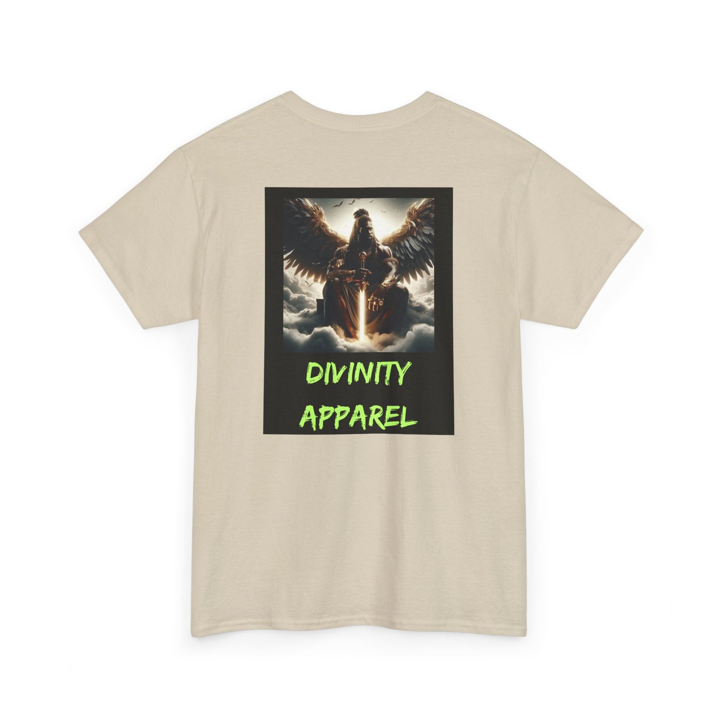 Divinity Apparel Cotton Tee