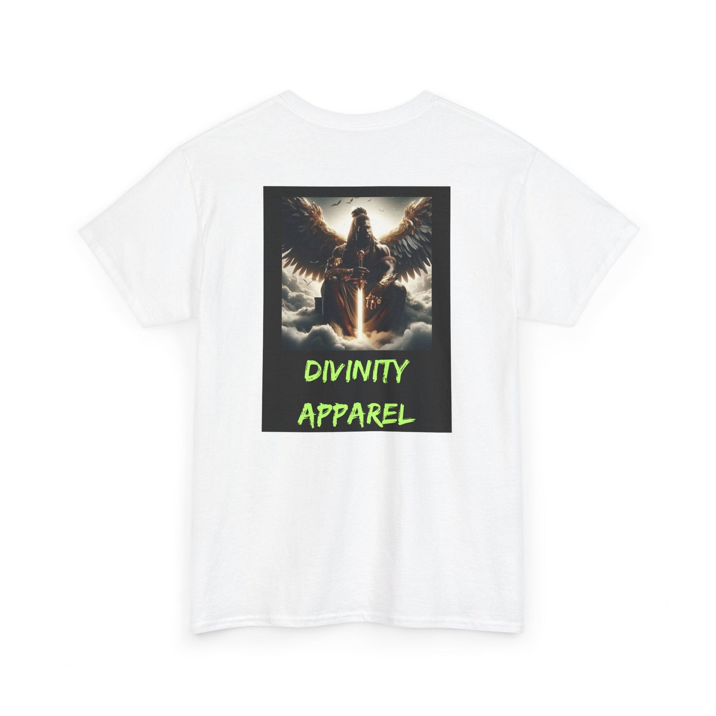 Divinity Apparel Cotton Tee