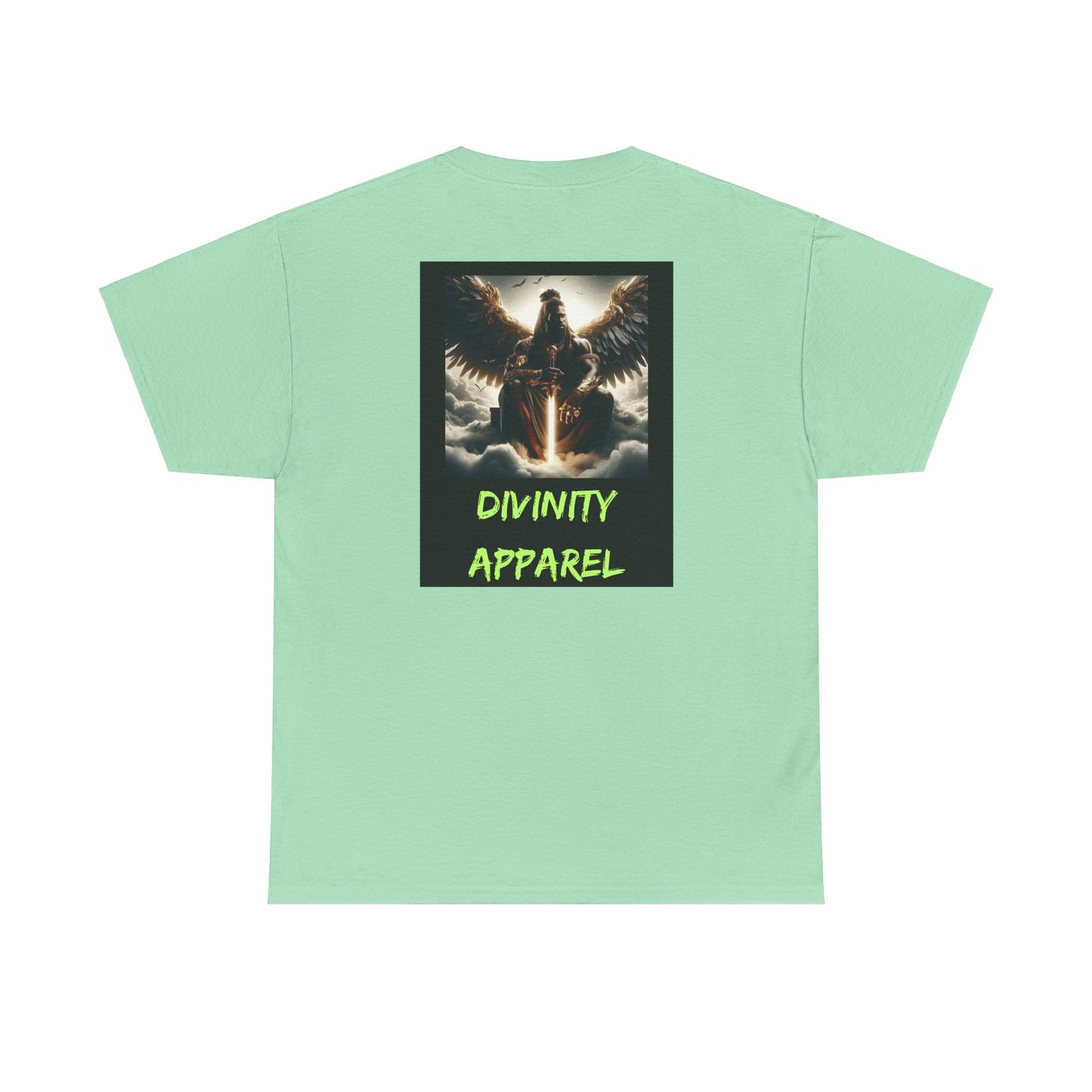 Divinity Apparel Cotton Tee