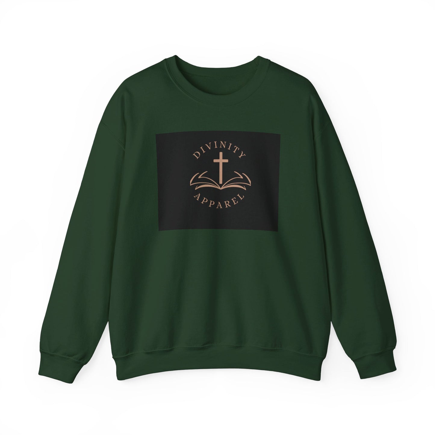 Divinity Apparel Sweatshirt