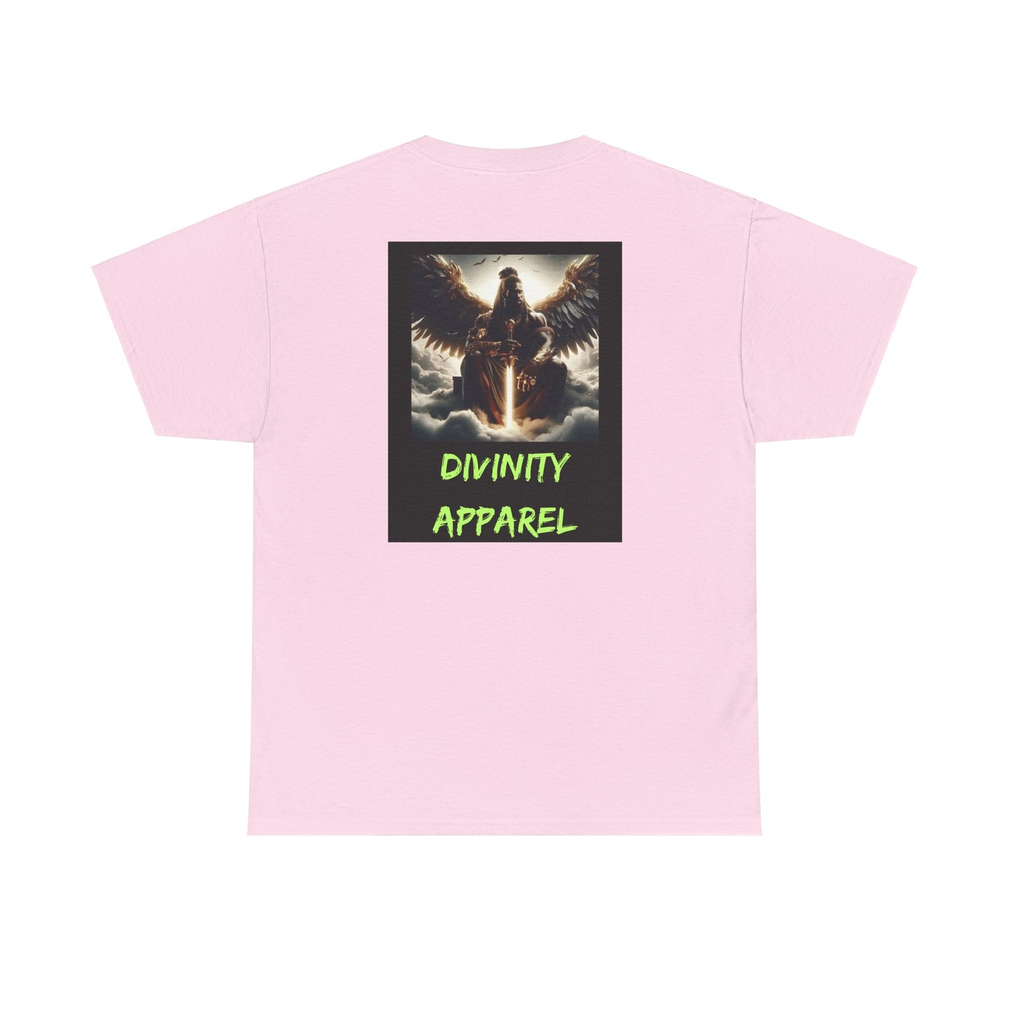 Divinity Apparel Cotton Tee