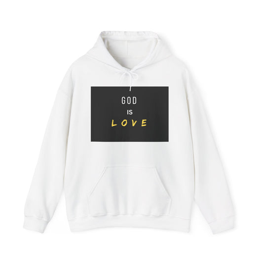 Divinity of God Pullover Hoodies